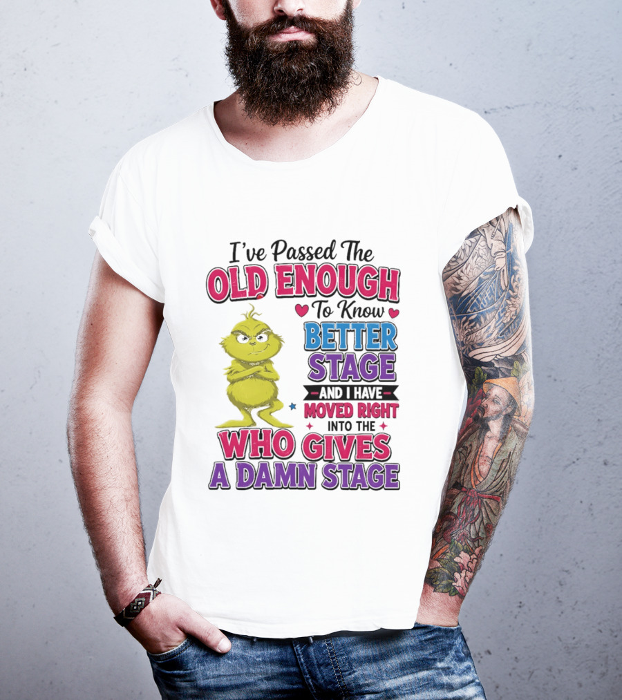 Passed The Old Enough To Know Better Moved Right Into The Who Gives A Damn Stage T-Shirt
