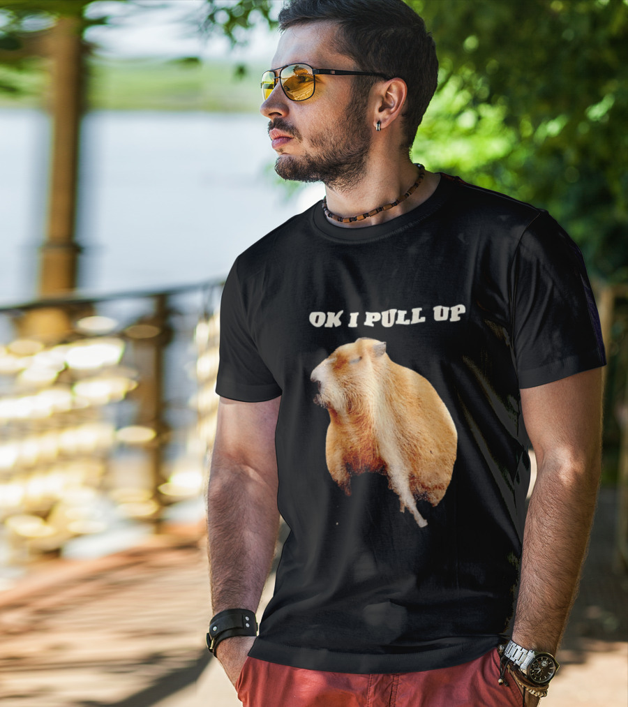 Ok I Pull Up Capybara Meme T-Shirt