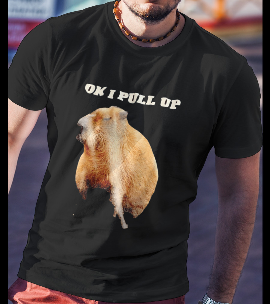Ok I Pull Up Capybara Meme T-Shirt