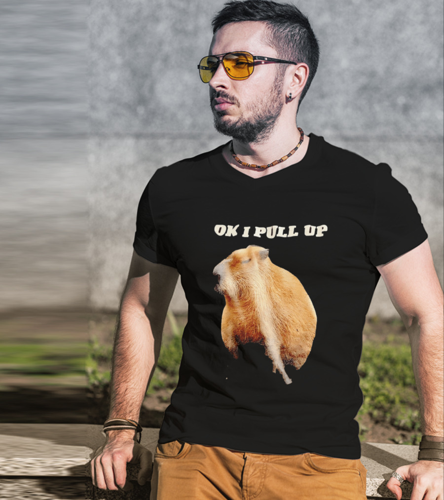 Ok I Pull Up Capybara Meme T-Shirt