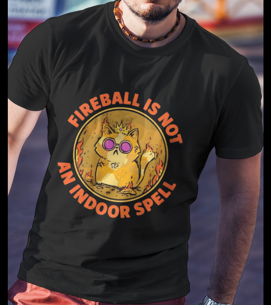 Princess Donut Fireball Is Not An Indoor Spell Dungeon Crawler Carl T-Shirt