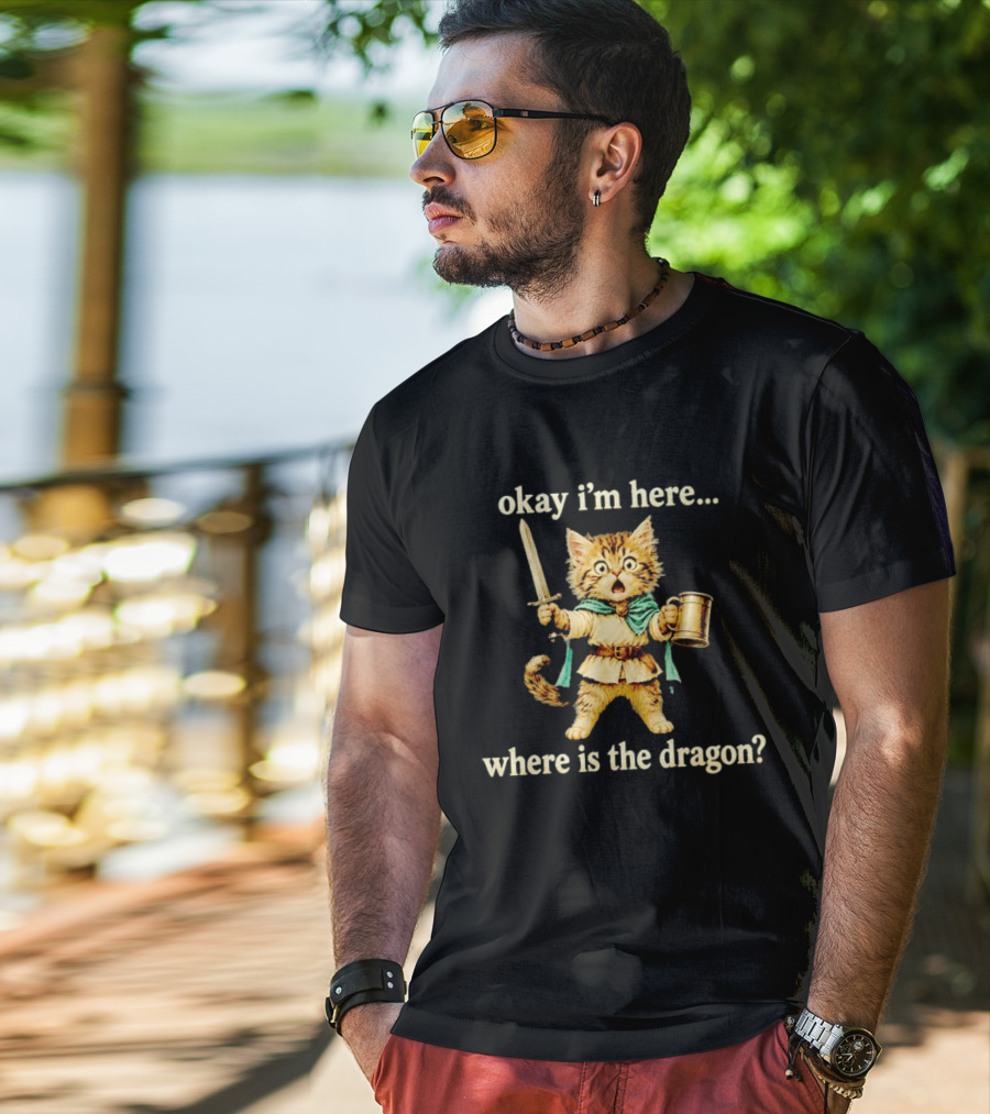 Okay I'm Here Where Is The Dragon Cat Knight Sword Adventure T-Shirt