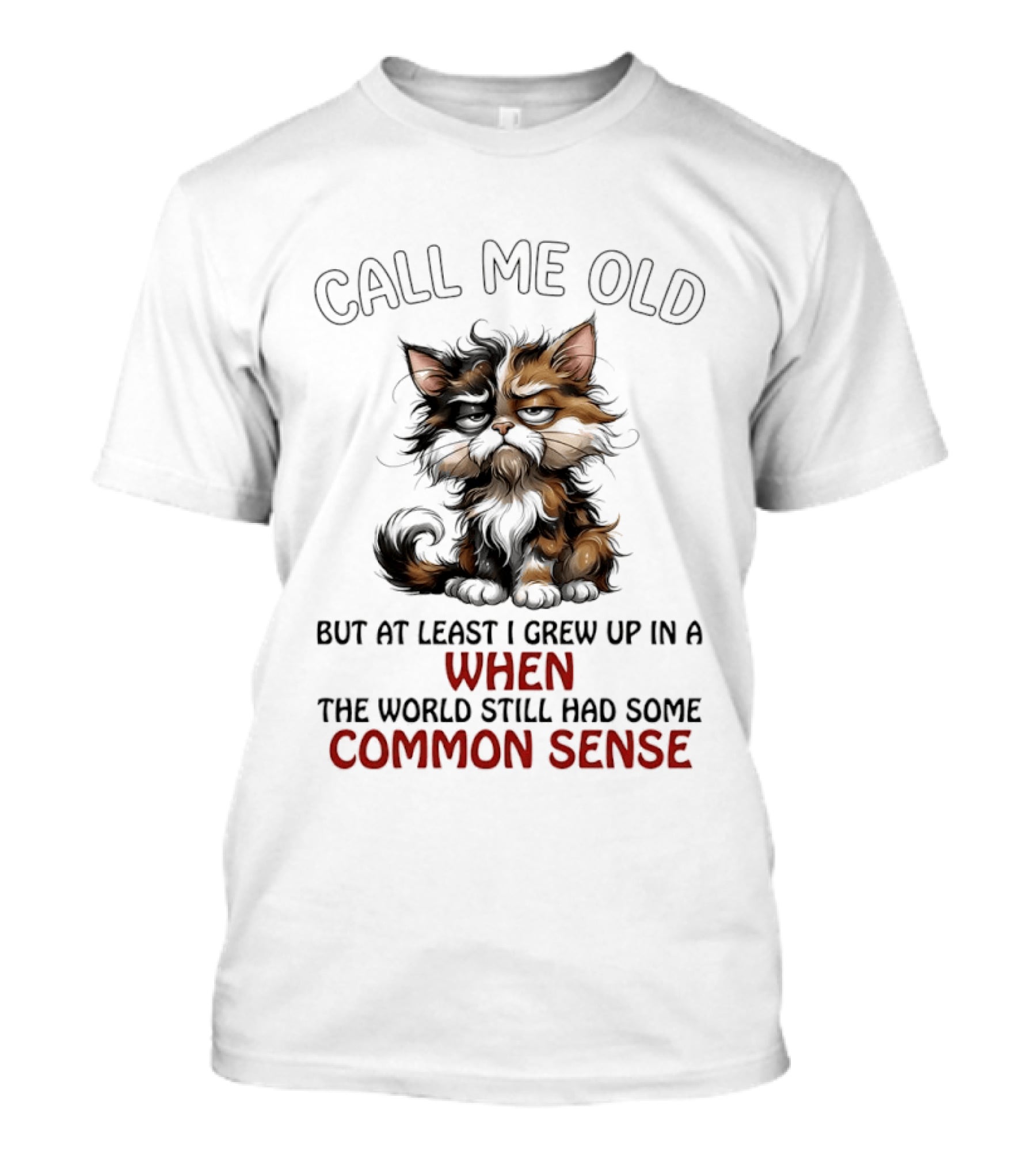 Call Me Old But At Least I Grew Up In A Time When The World Still Had Some Common Sense Cat T-Shirt