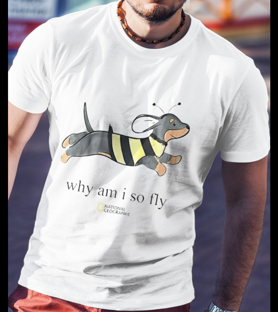 Why Am I So Fly Dachshund Bee National Geographic T-Shirt