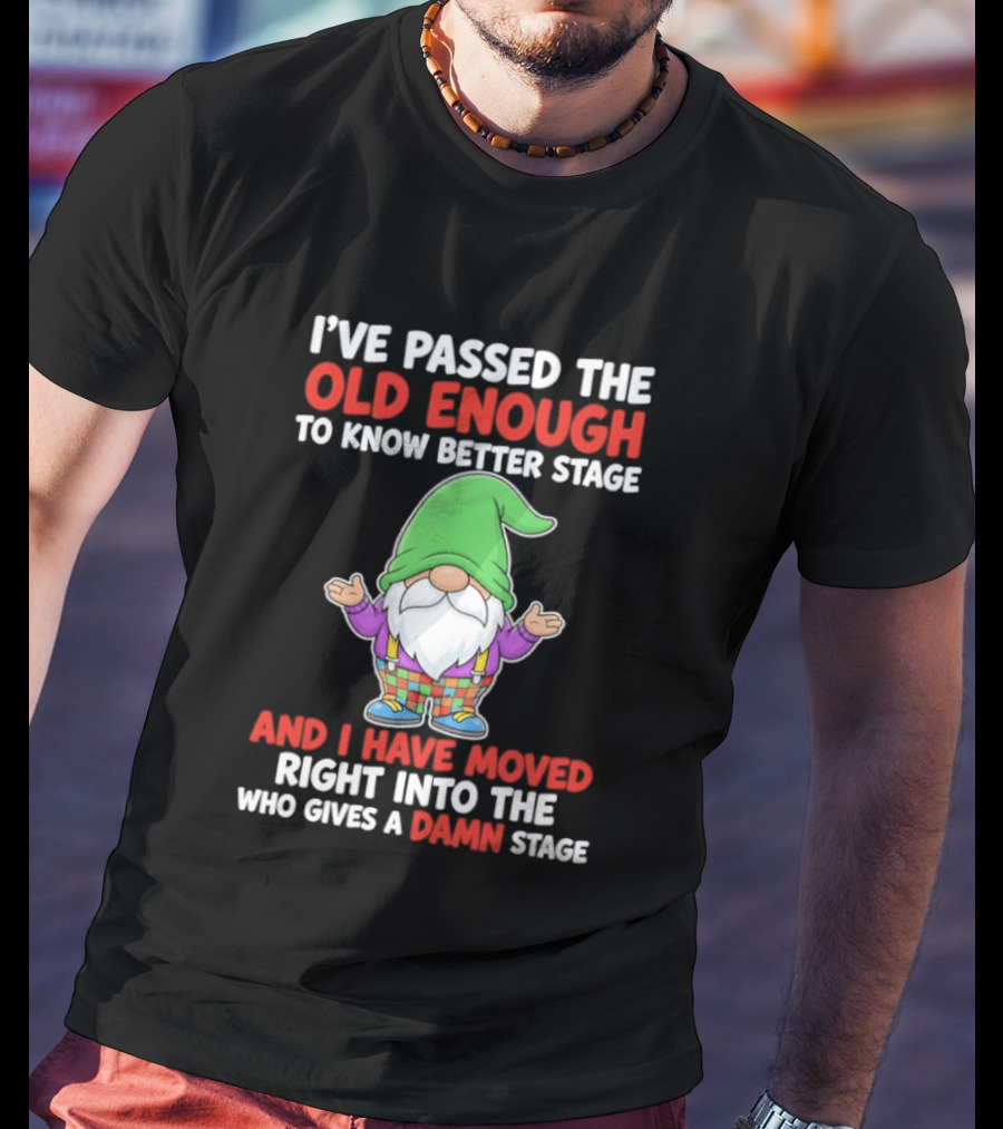 I've Passed The Old Enough To Know Better Gnome And Moved Into Who Gives A Damn Stage T-Shirt