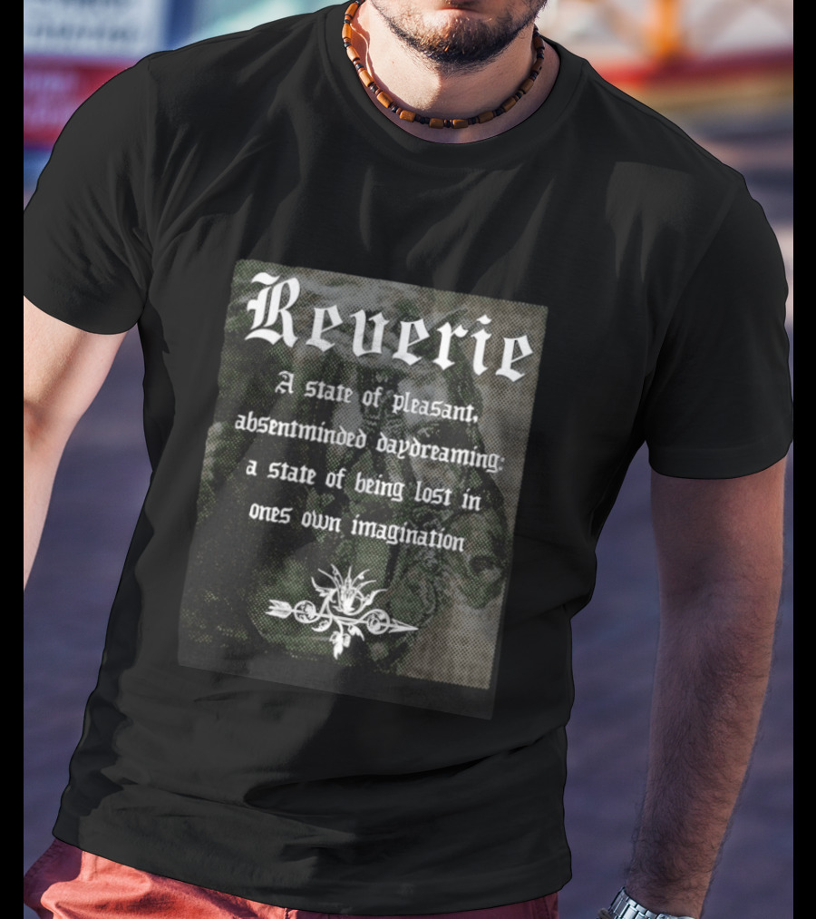 Reverie A State Of Pleasant Absentminded Daydreaming Imagination T-Shirt