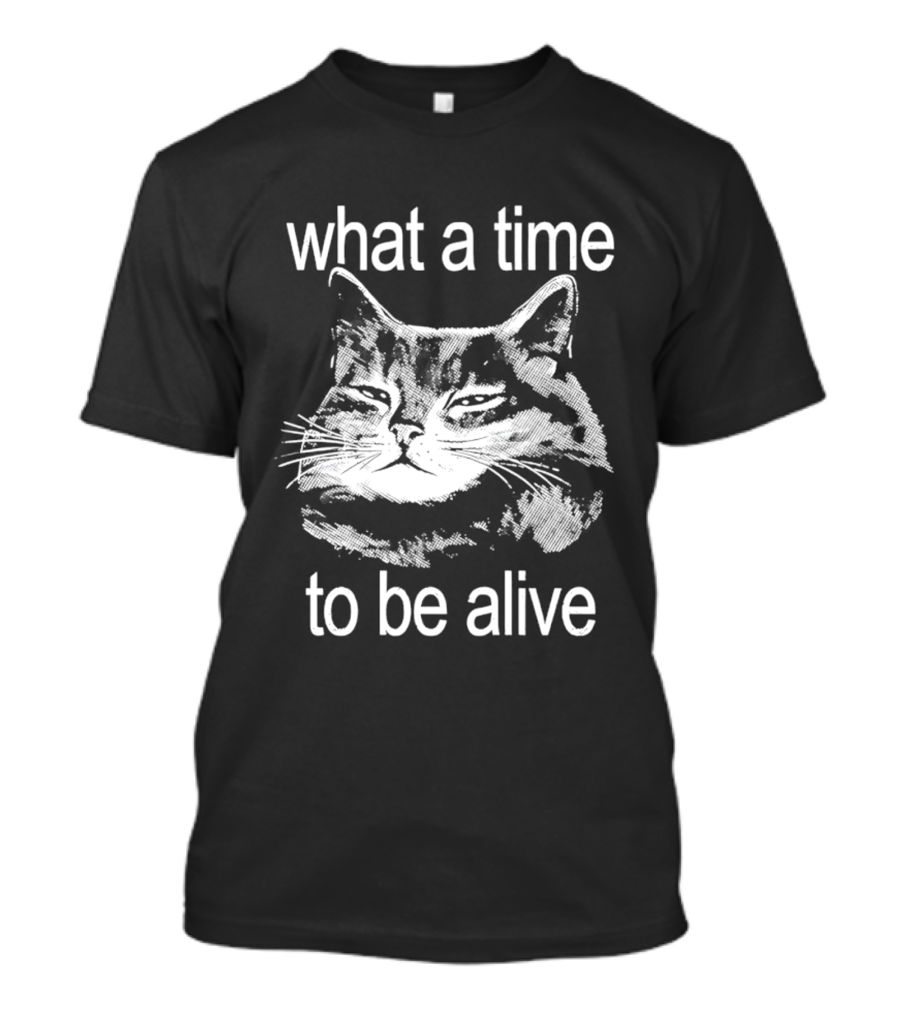 What A Time To Be Alive Cat Meme T-Shirt