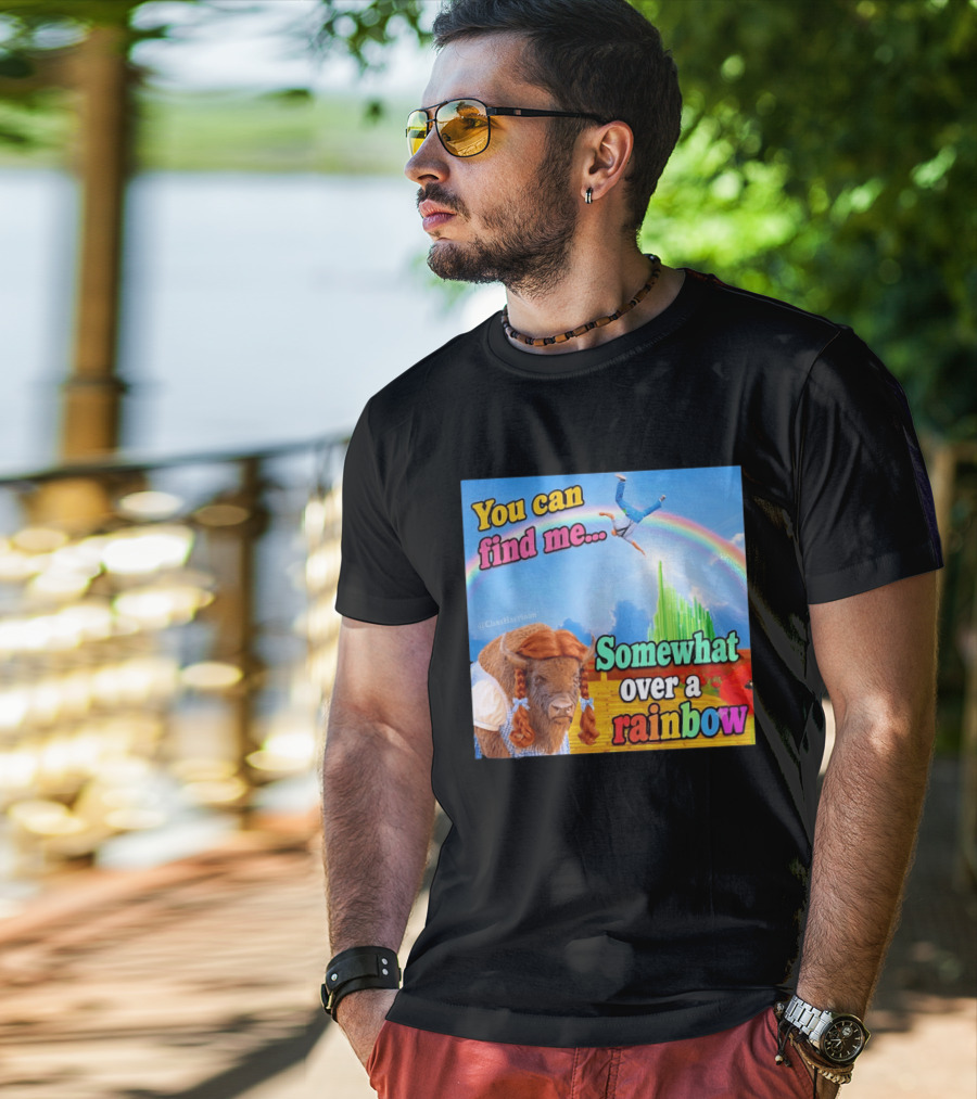 You Can Find Me Somewhat Over A Rainbow Bison Meme T-Shirt