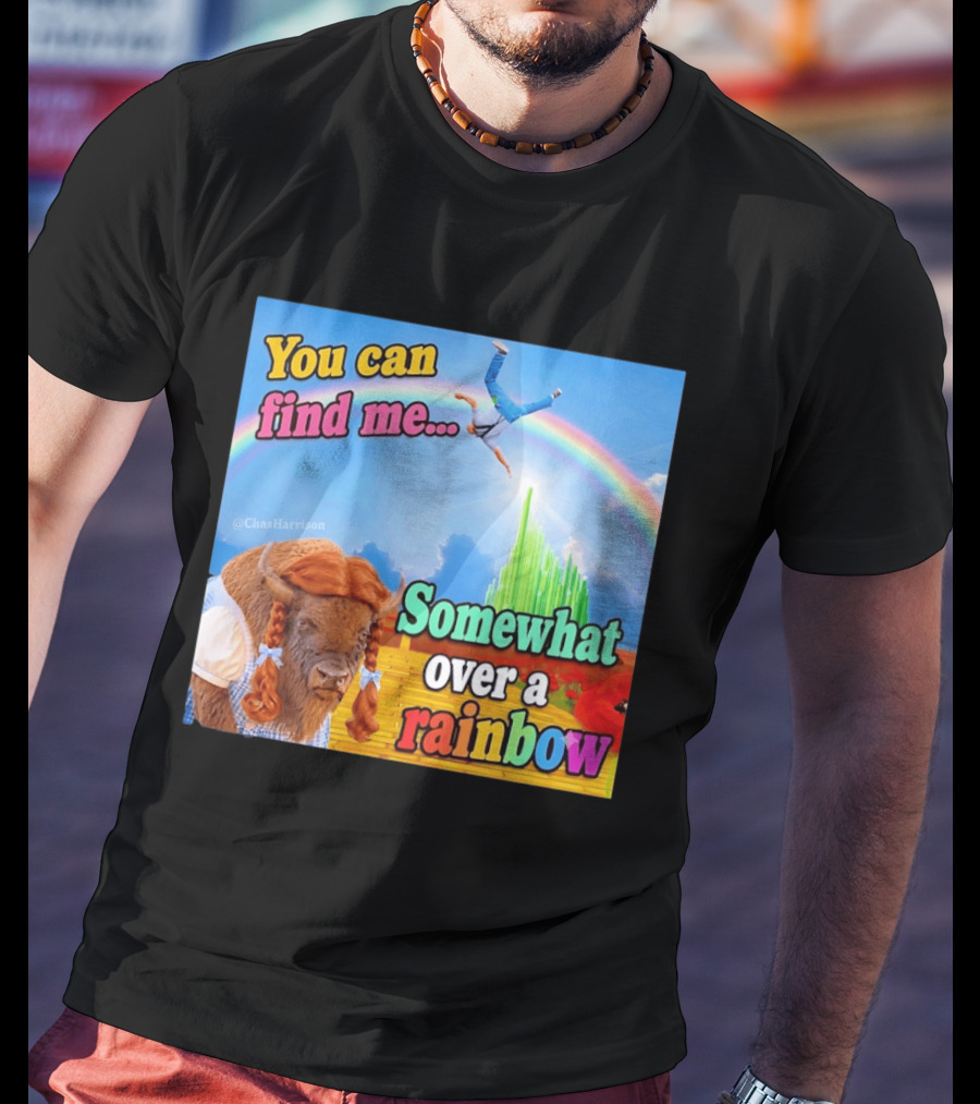 You Can Find Me Somewhat Over A Rainbow Bison Meme T-Shirt