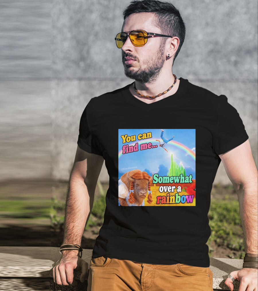 You Can Find Me Somewhat Over A Rainbow Bison Meme T-Shirt
