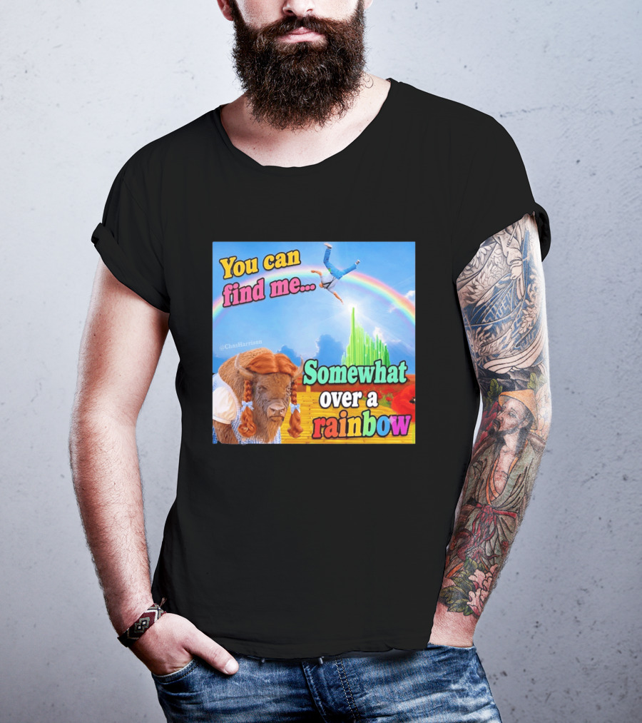 You Can Find Me Somewhat Over A Rainbow Bison Meme T-Shirt