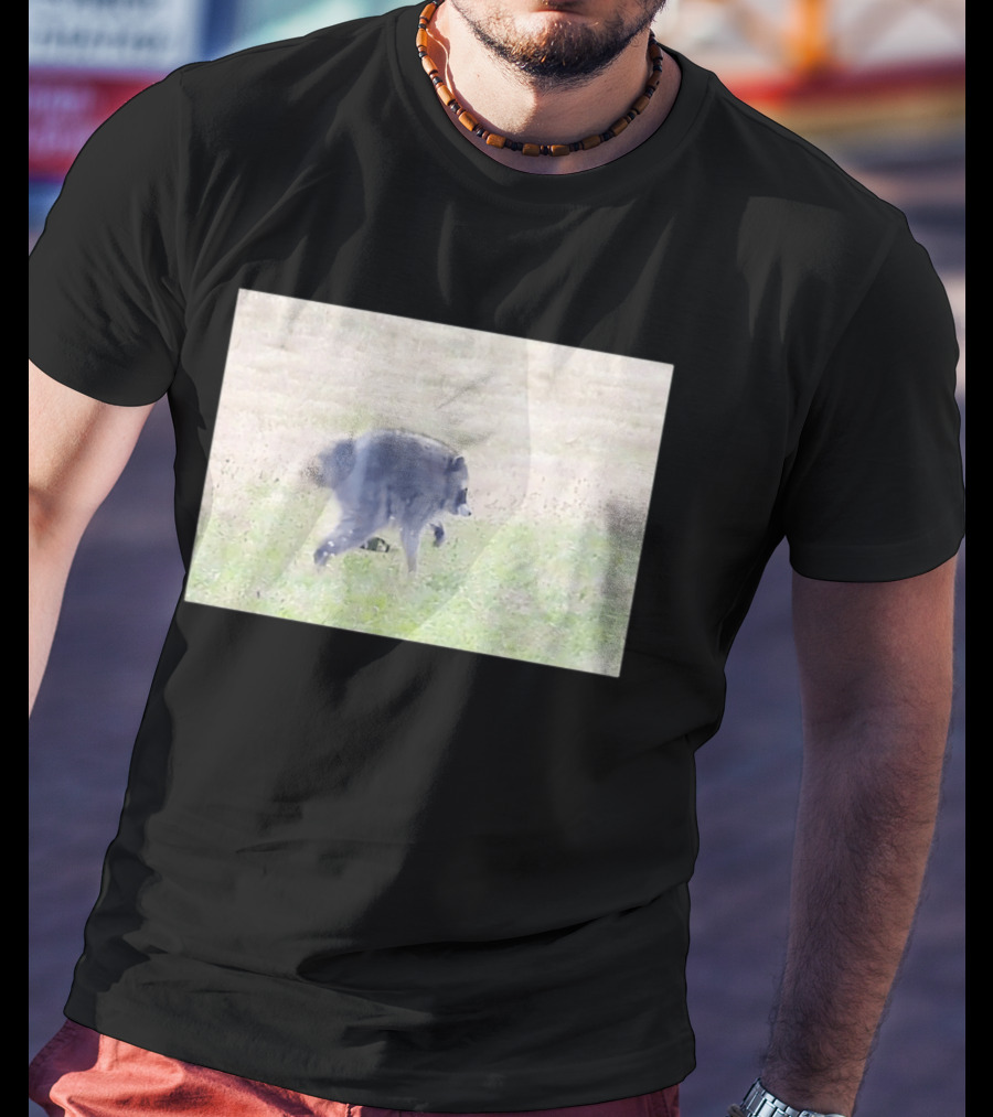 Jimothy Raccoon Walking In Grassy Field Wildlife Scene T-Shirt