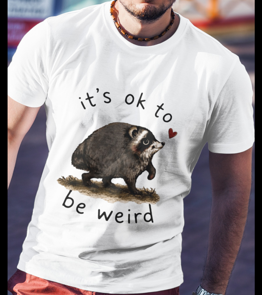 Raccoon It's Ok To Be Weird Cute Heart T-Shirt