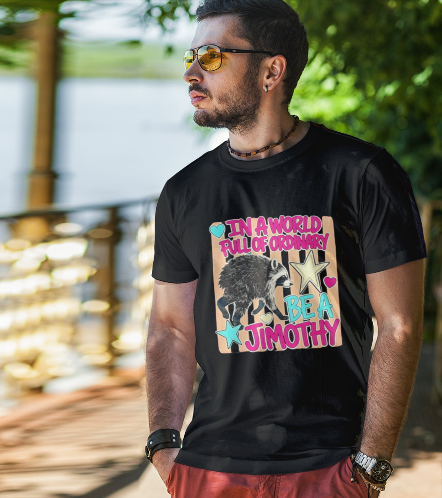 In A World Full Of Ordinary Be A Jimothy Raccoon With Stars And Hearts T-Shirt