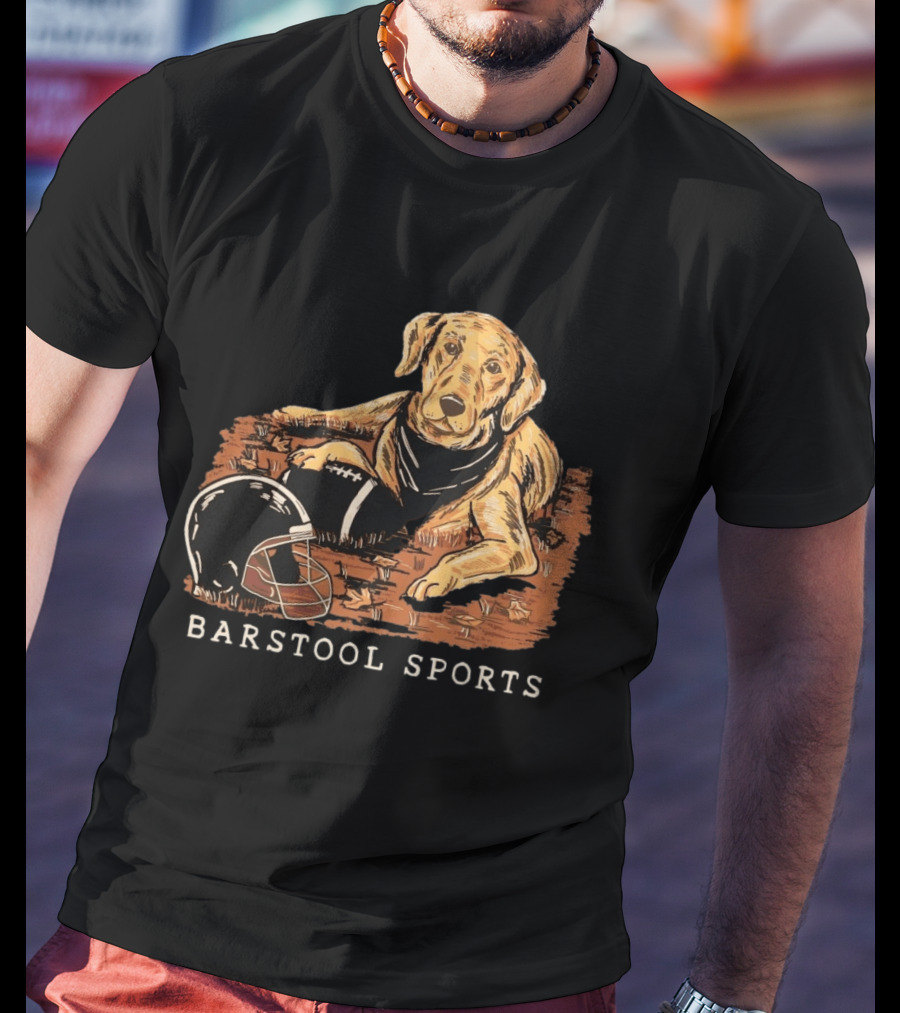 Barstool Sports Fall Football Dog With Helmet And Leaves T-Shirt
