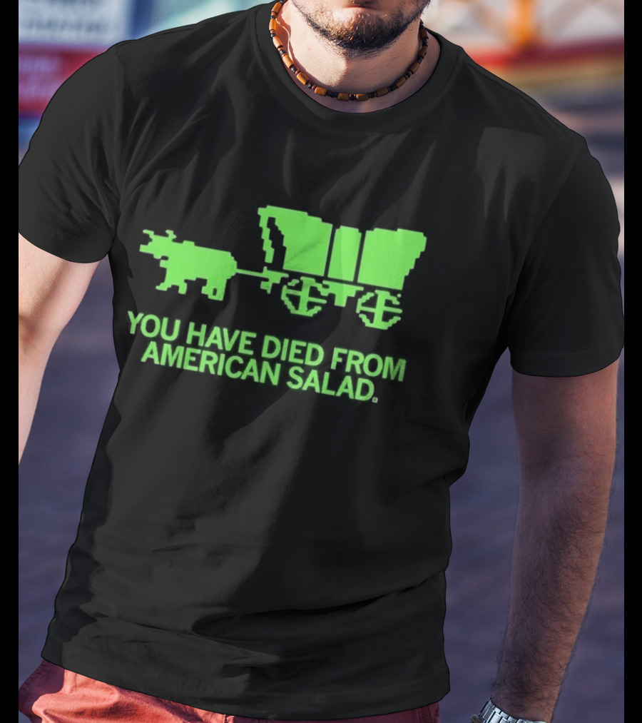 You Have Died From American Salad Ox Cart Retro Gaming Spoof T-Shirt