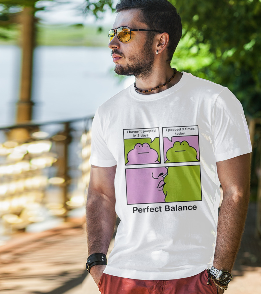 Perfect Balance Frog Meme I Haven't Pooped In 3 Days Pooped 3 Times Today T-Shirt