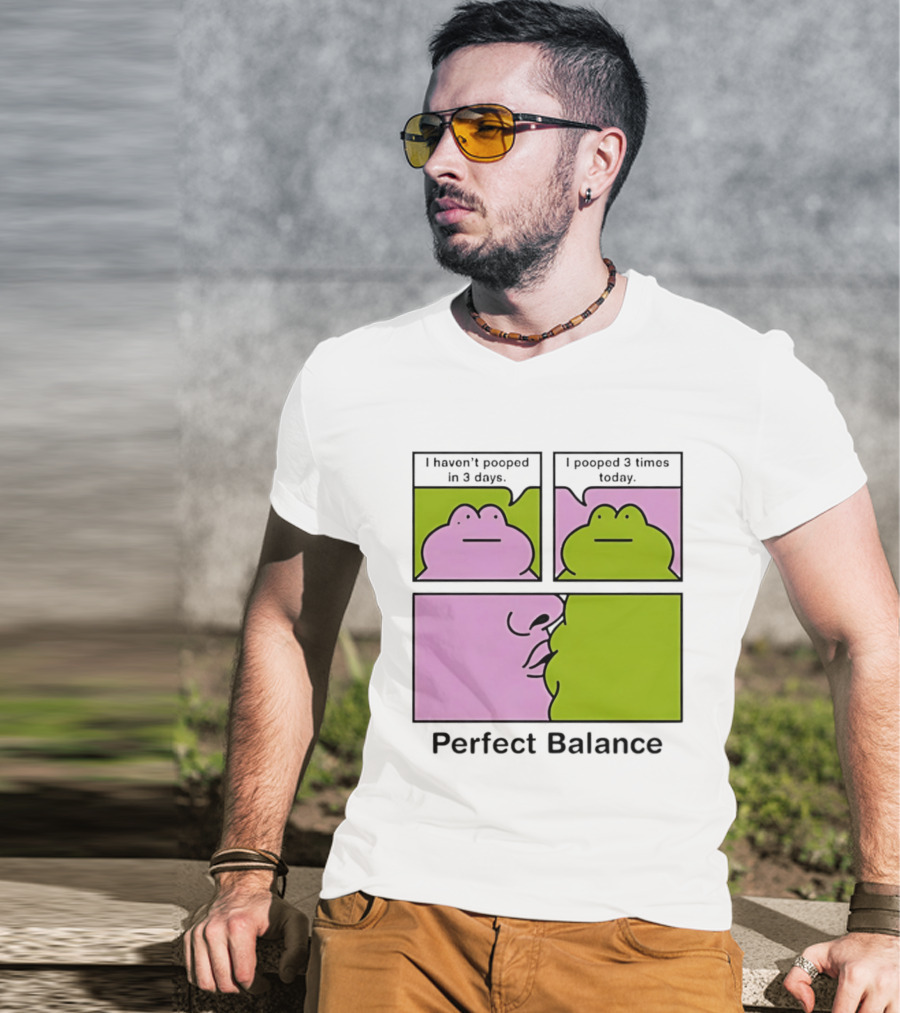 Perfect Balance Frog Meme I Haven't Pooped In 3 Days Pooped 3 Times Today T-Shirt