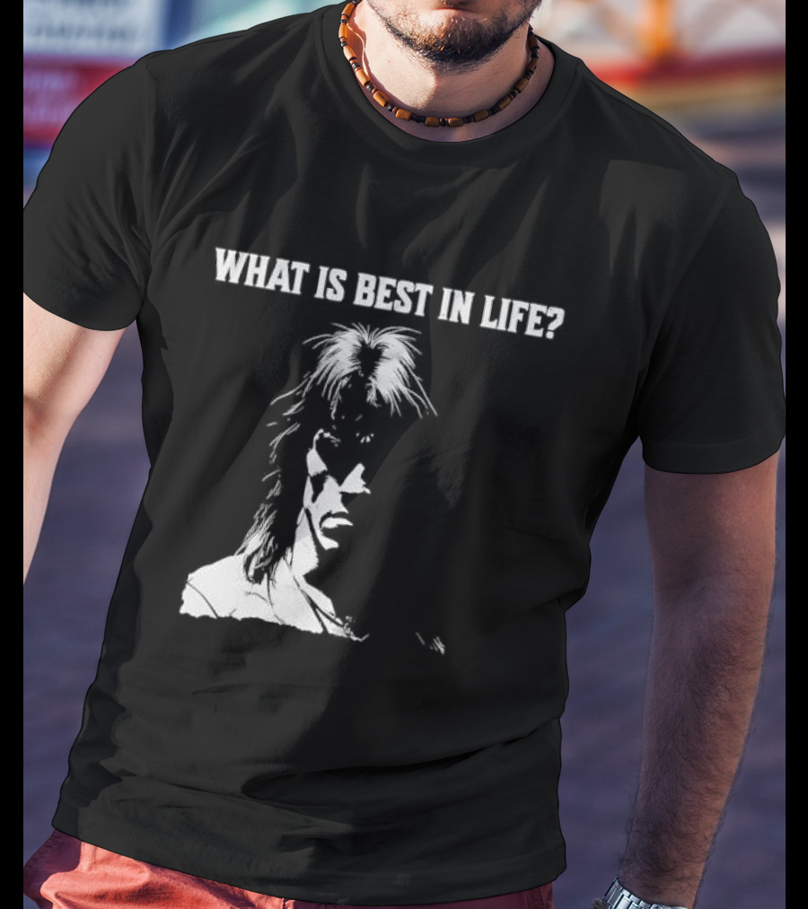 What Is Best In Life Conan The Barbarian T-Shirt