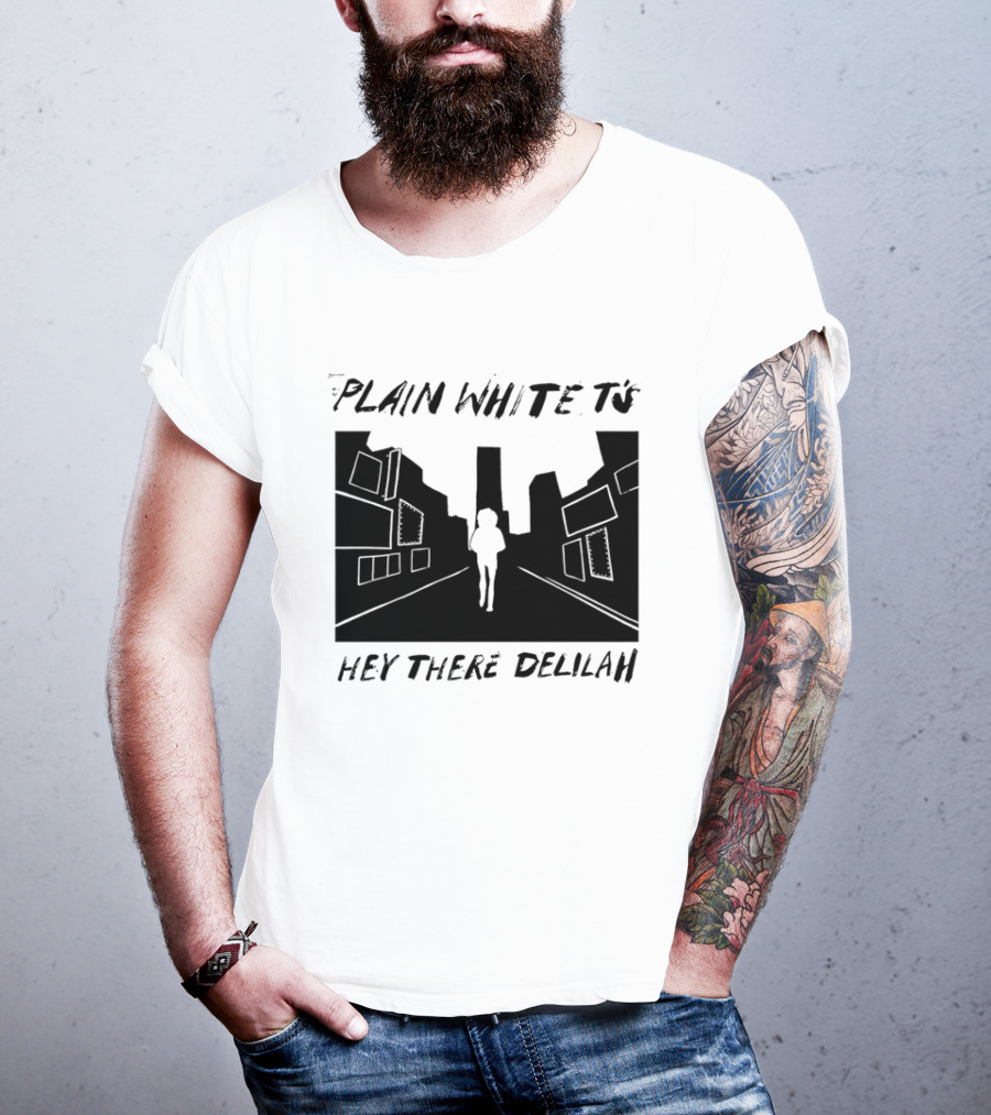 Plain White T's Hey There Delilah City T-Shirt