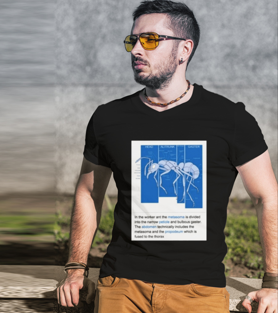 Head Alitrunk Gaster Metasoma Petiole Anatomy Of An Ant T-Shirt
