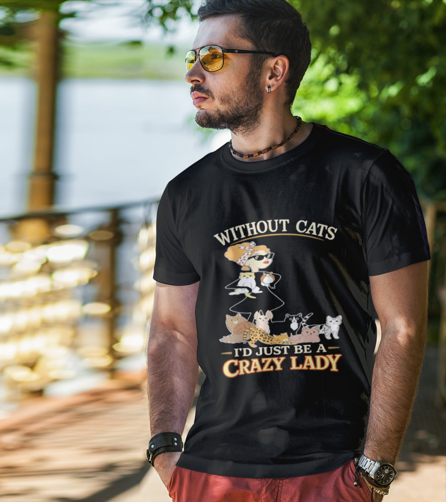 Without Cats I'd Just Be A Crazy Lady Pet Lover Vintage Cartoon T-Shirt