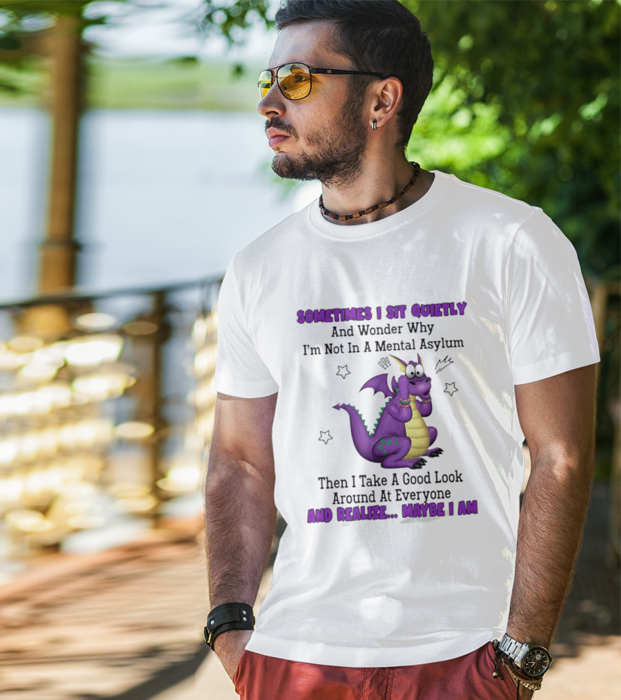 Sometimes I Sit Quietly Wonder Why I'm Not In A Mental Asylum Dragon Realize Maybe I Am T-Shirt