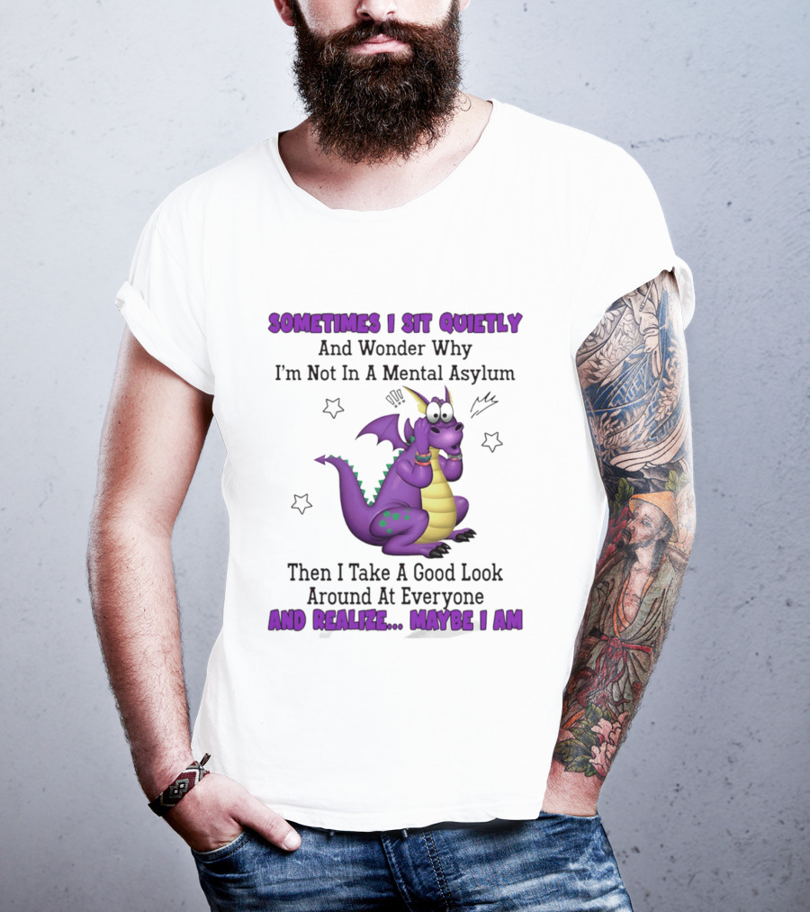 Sometimes I Sit Quietly Wonder Why I'm Not In A Mental Asylum Dragon Realize Maybe I Am T-Shirt