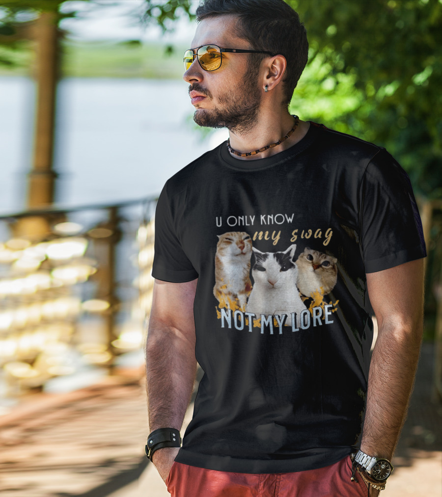 U Only Know My Swag Not My Lore Funny Cat Trio T-Shirt
