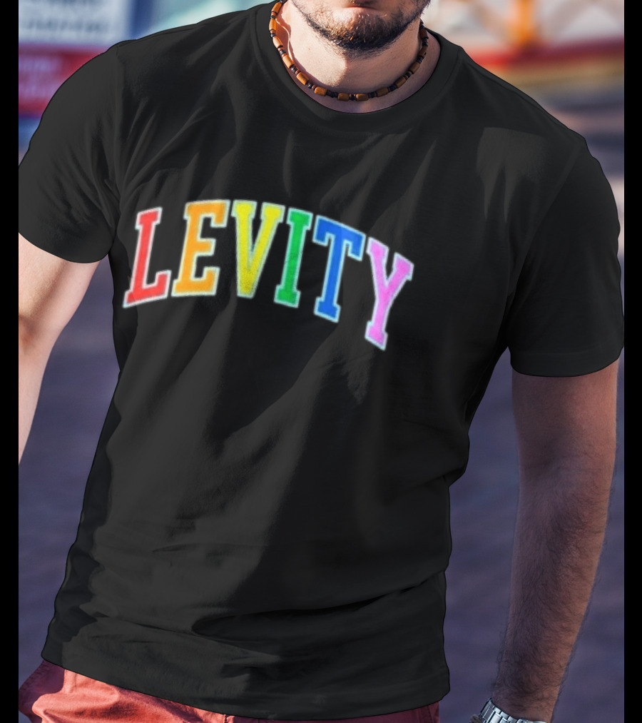 Levity You Will Now Experience Levity T-Shirt