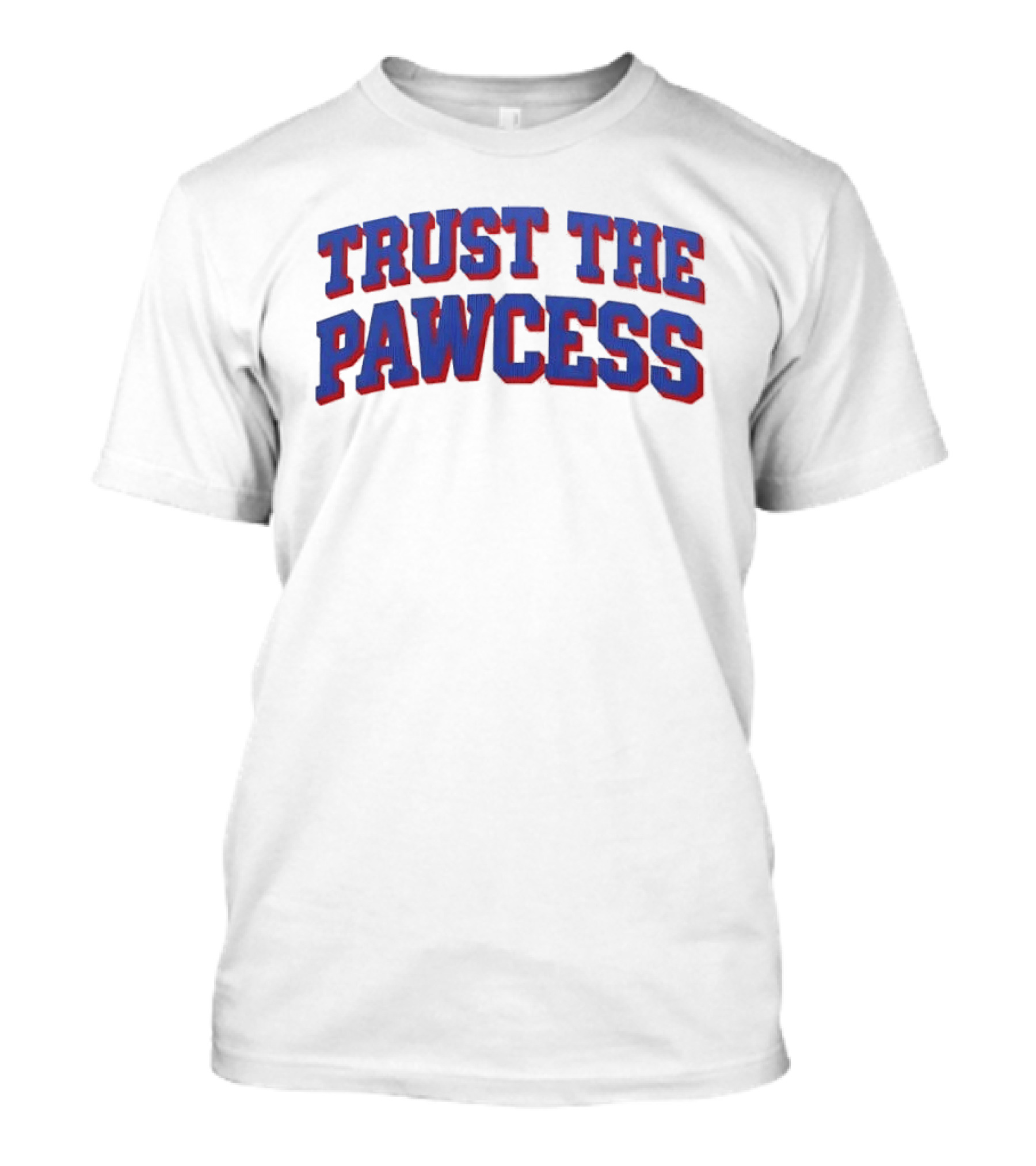 Trust The Pawcess Blue Red Arched 3D Wood Grain T-Shirt