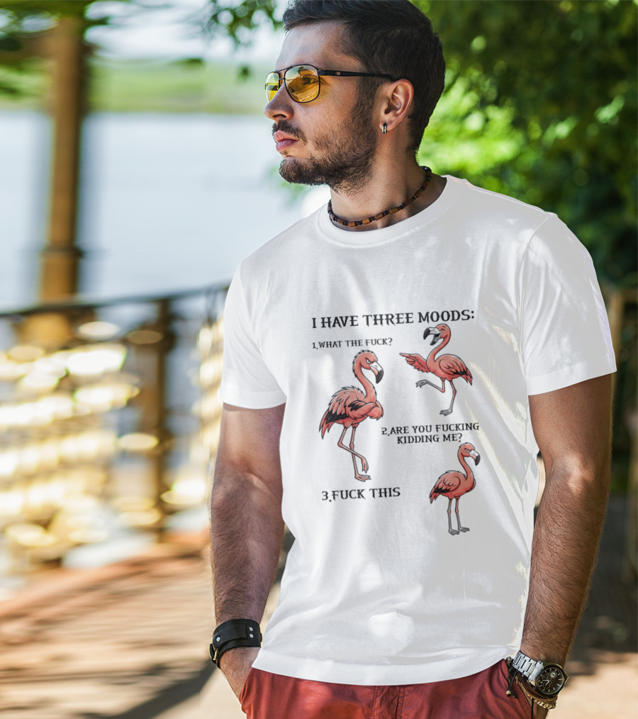 I Have Three Moods What The Fuck Are You Fucking Kidding Me Fuck This Flamingo T-Shirt