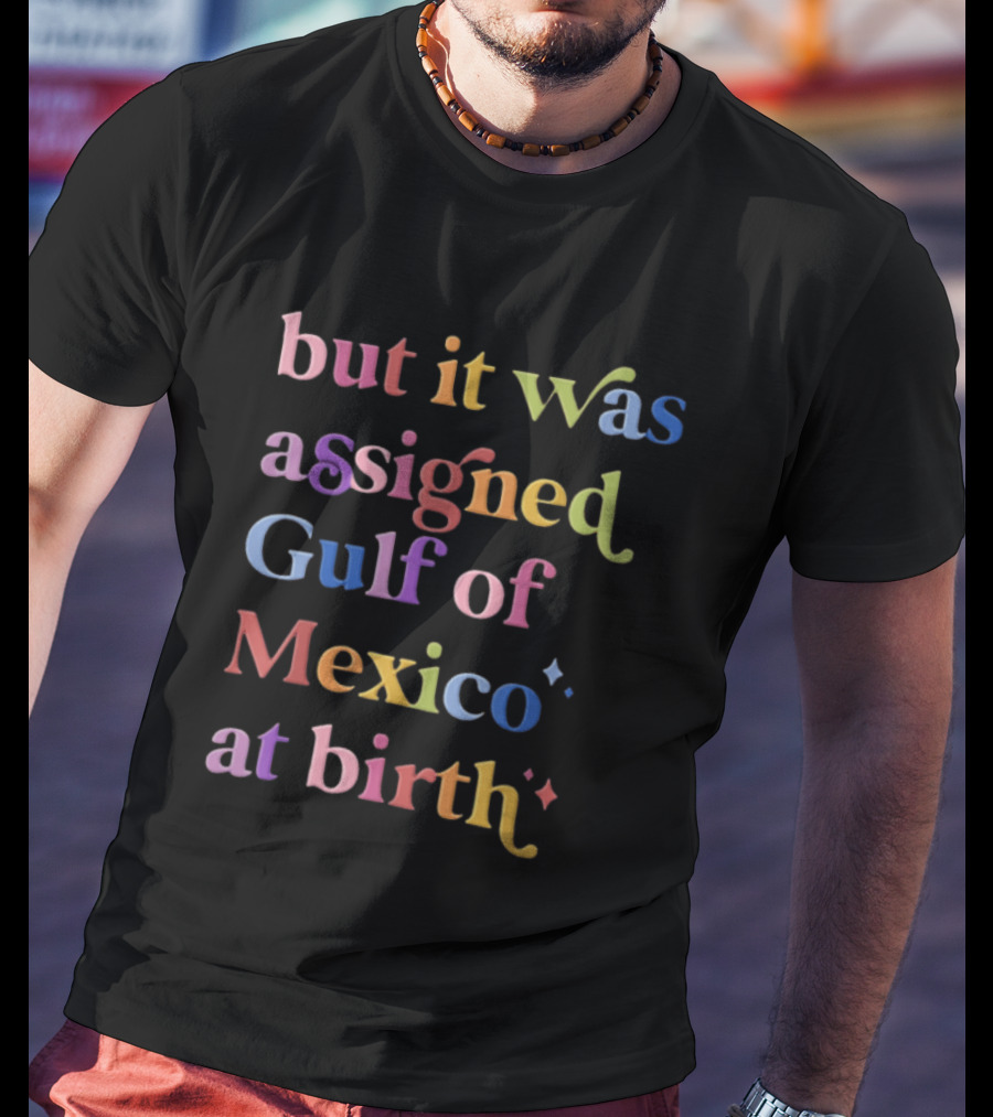 But It Was Assigned Gulf Of Mexico At Birth Rainbow T-Shirt