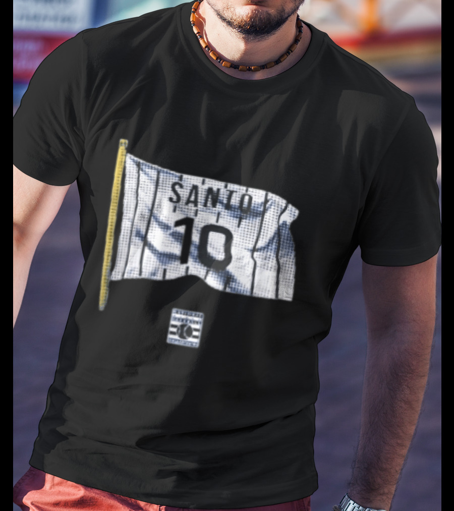 Santo 10 Baseball Hall Of Fame Pinstripe Flag T-Shirt