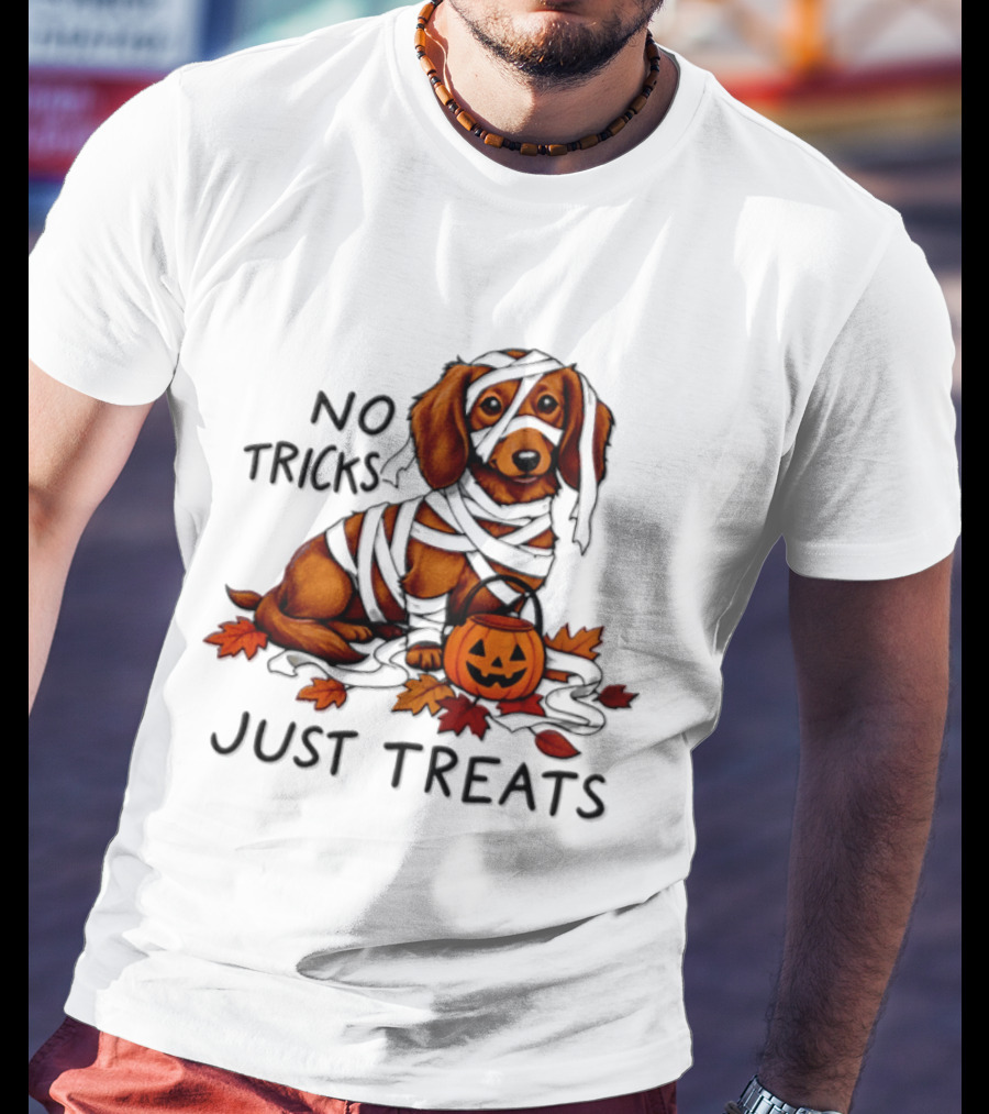 No Tricks Just Treats Dachshund Mummy Halloween Pumpkin Dog T-Shirt