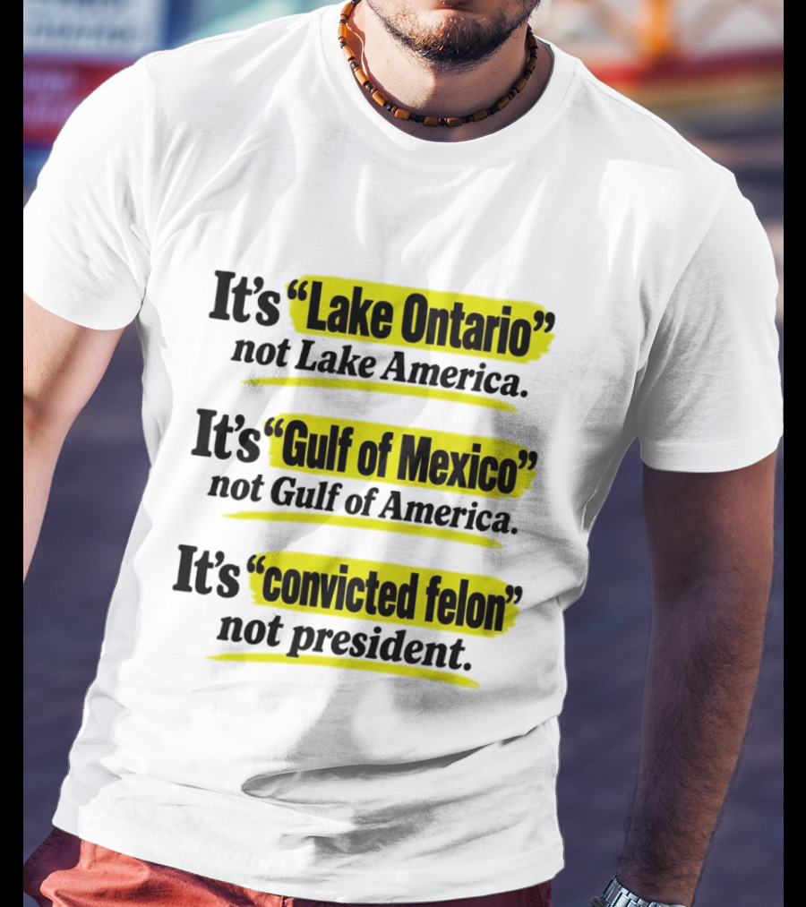 It's Lake Ontario Not Lake America Gulf Of Mexico Not Gulf Of America Convicted Felon Not President T-Shirt