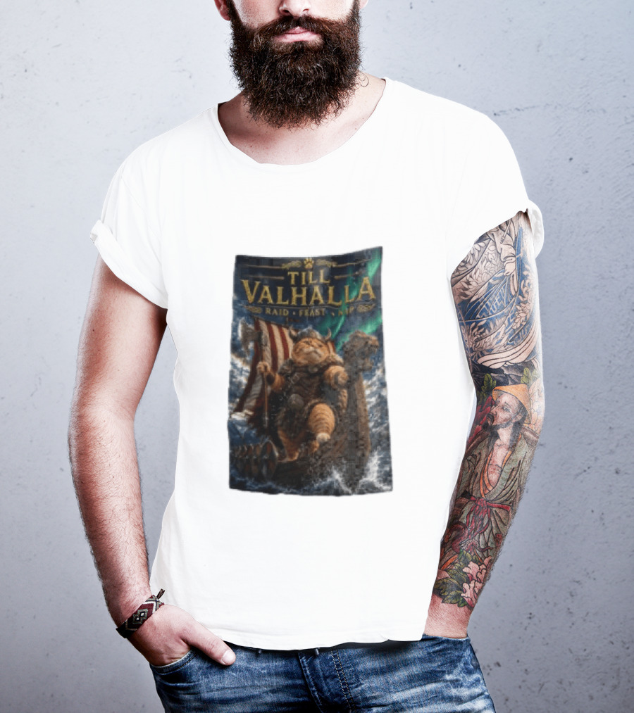 Till Valhalla Raid Feast Nap Viking Cat On Longship With Northern Lights T-Shirt