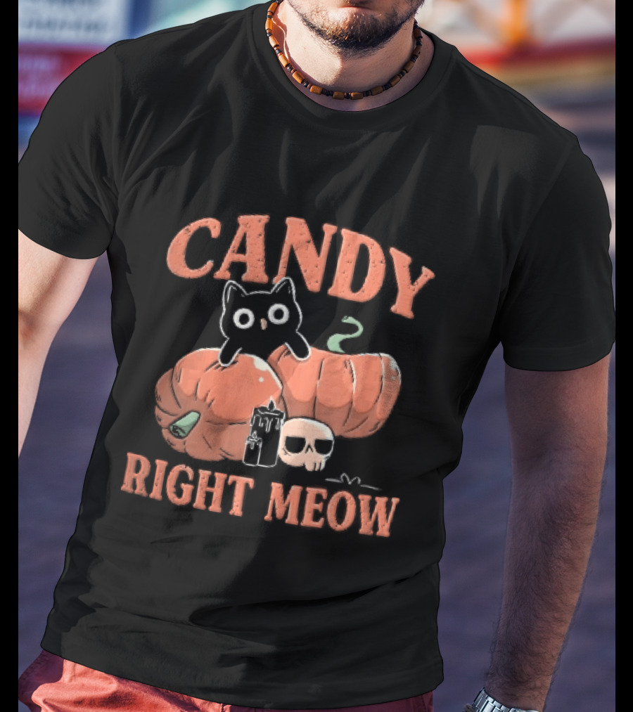 Candy Right Meow Black Cat Pumpkins Candles Skull Halloween T-Shirt