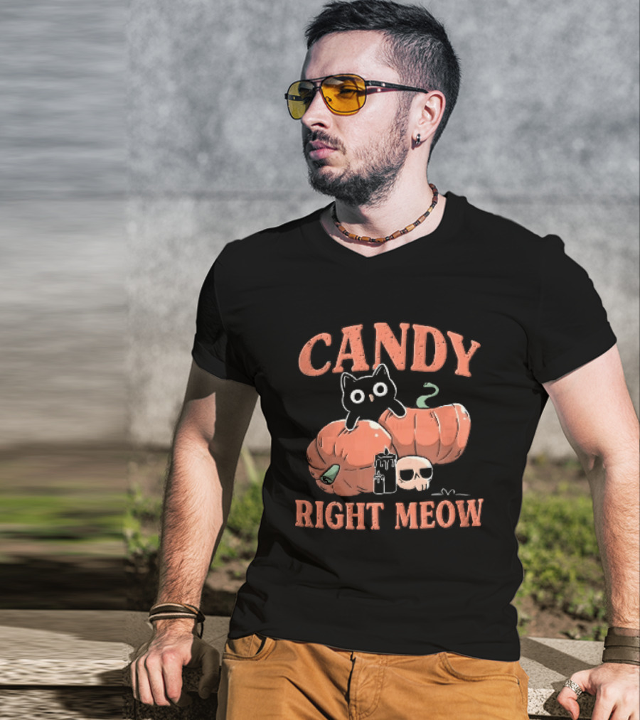 Candy Right Meow Black Cat Pumpkins Candles Skull Halloween T-Shirt