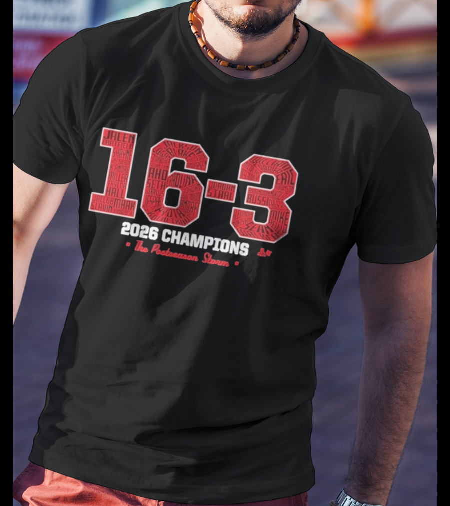 Carolina Hockey 16 3 2026 Champions The Postseason Storm T-Shirt