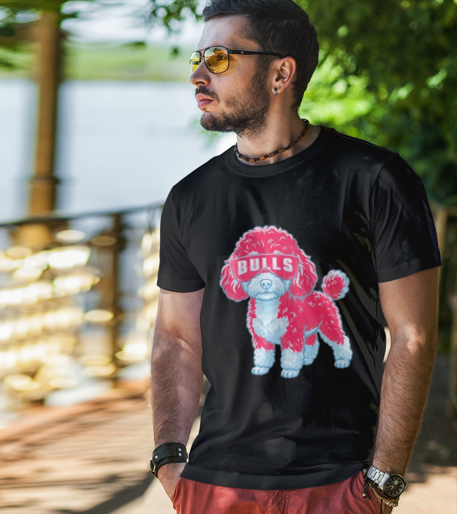 Chicago Bulls Poodle Cartoon Glasses T-Shirt