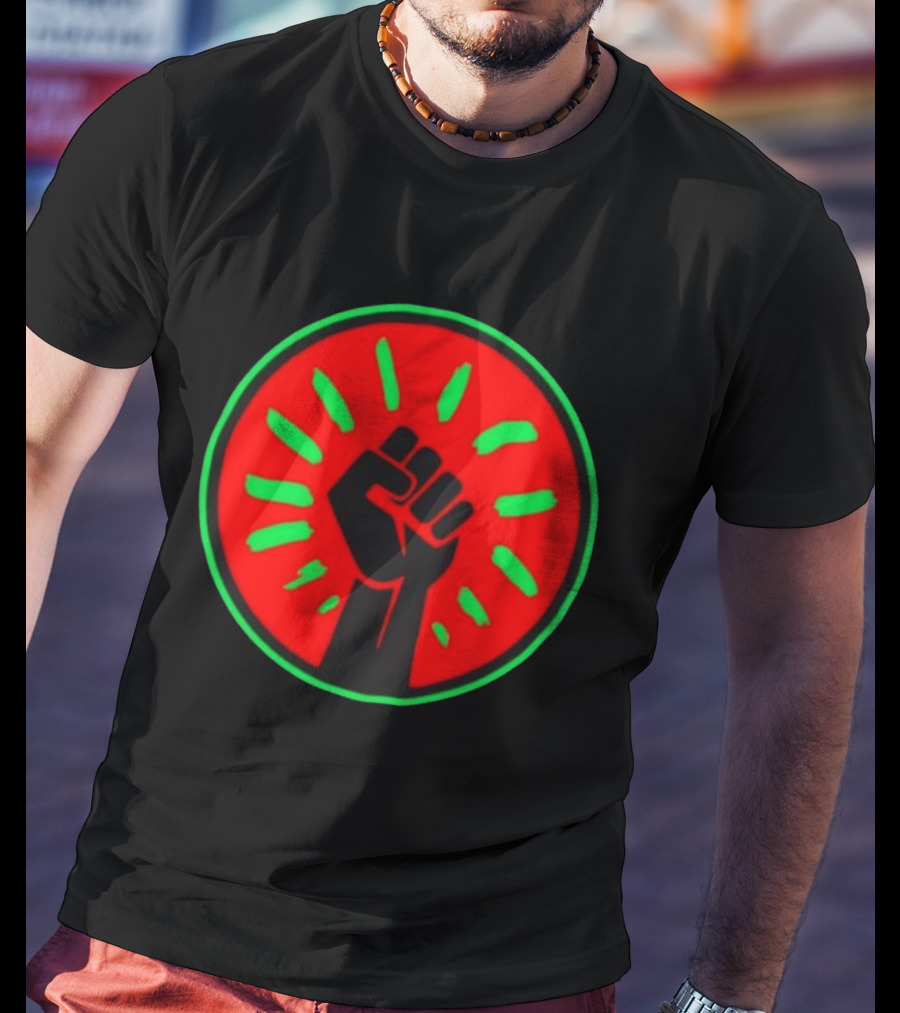 Pan African Flag Black Power Fist Resistance Unity Liberation T-Shirt