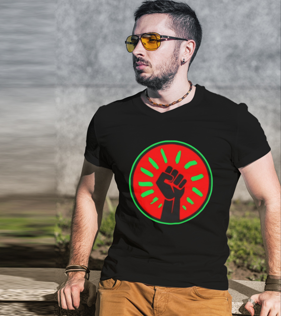 Pan African Flag Black Power Fist Resistance Unity Liberation T-Shirt