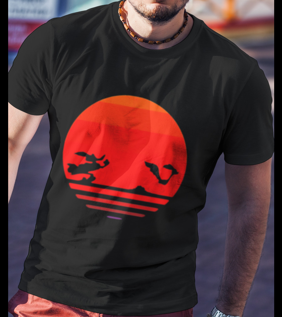 Wile E Coyote And Road Runner Sunset Chase T-Shirt