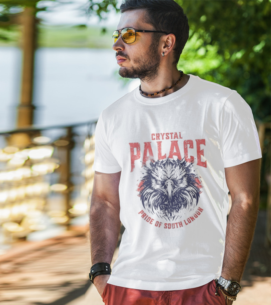 Crystal Palace Power Of South London Pride Eagle T-Shirt
