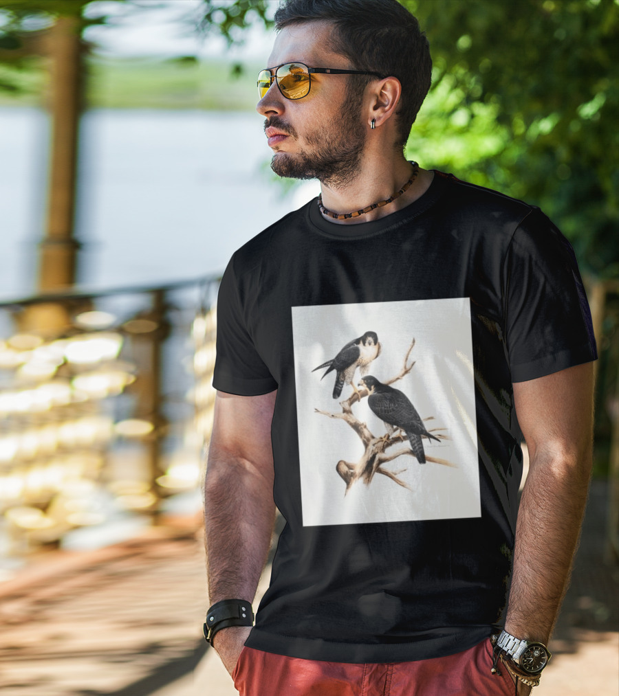 Roger Tory Peterson Peregrines 2026 Adult Ash Bird T-Shirt