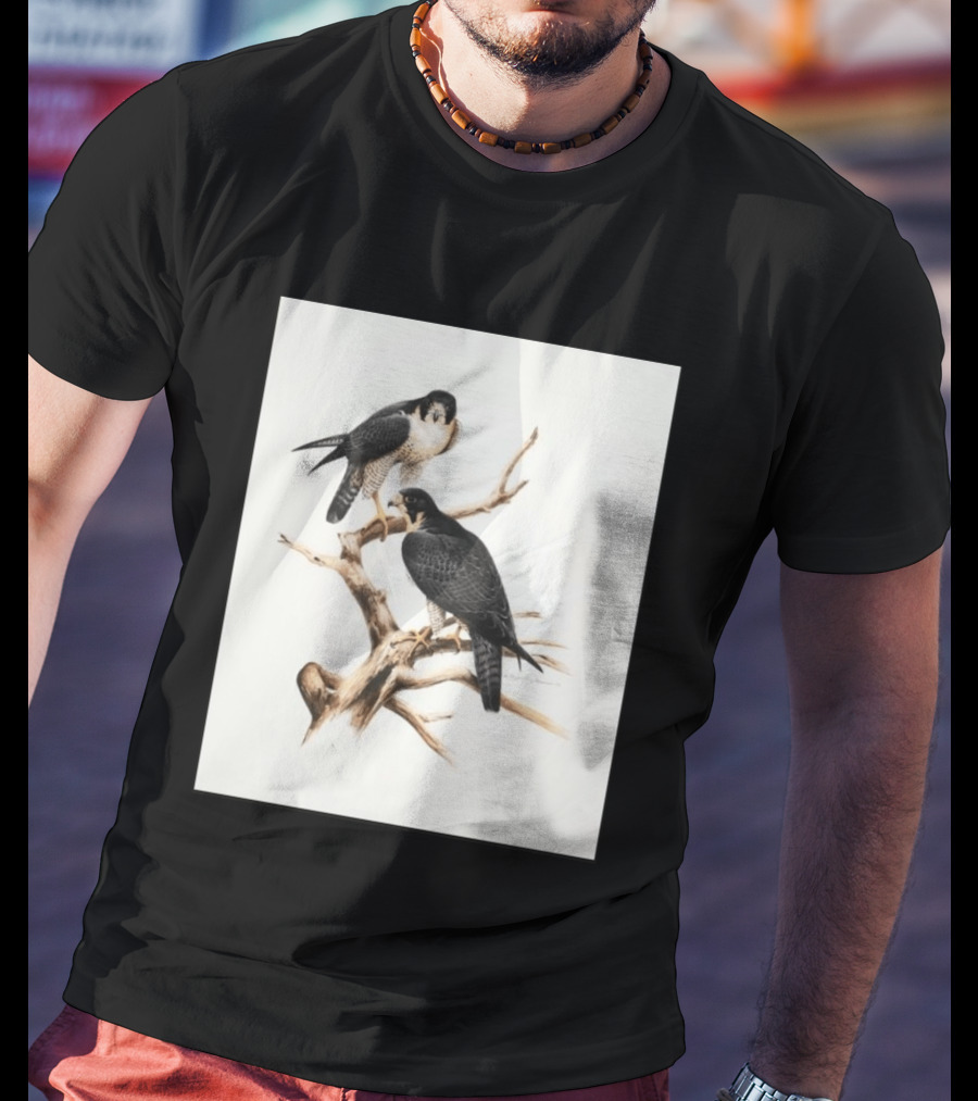 Roger Tory Peterson Peregrines 2026 Adult Ash Bird T-Shirt