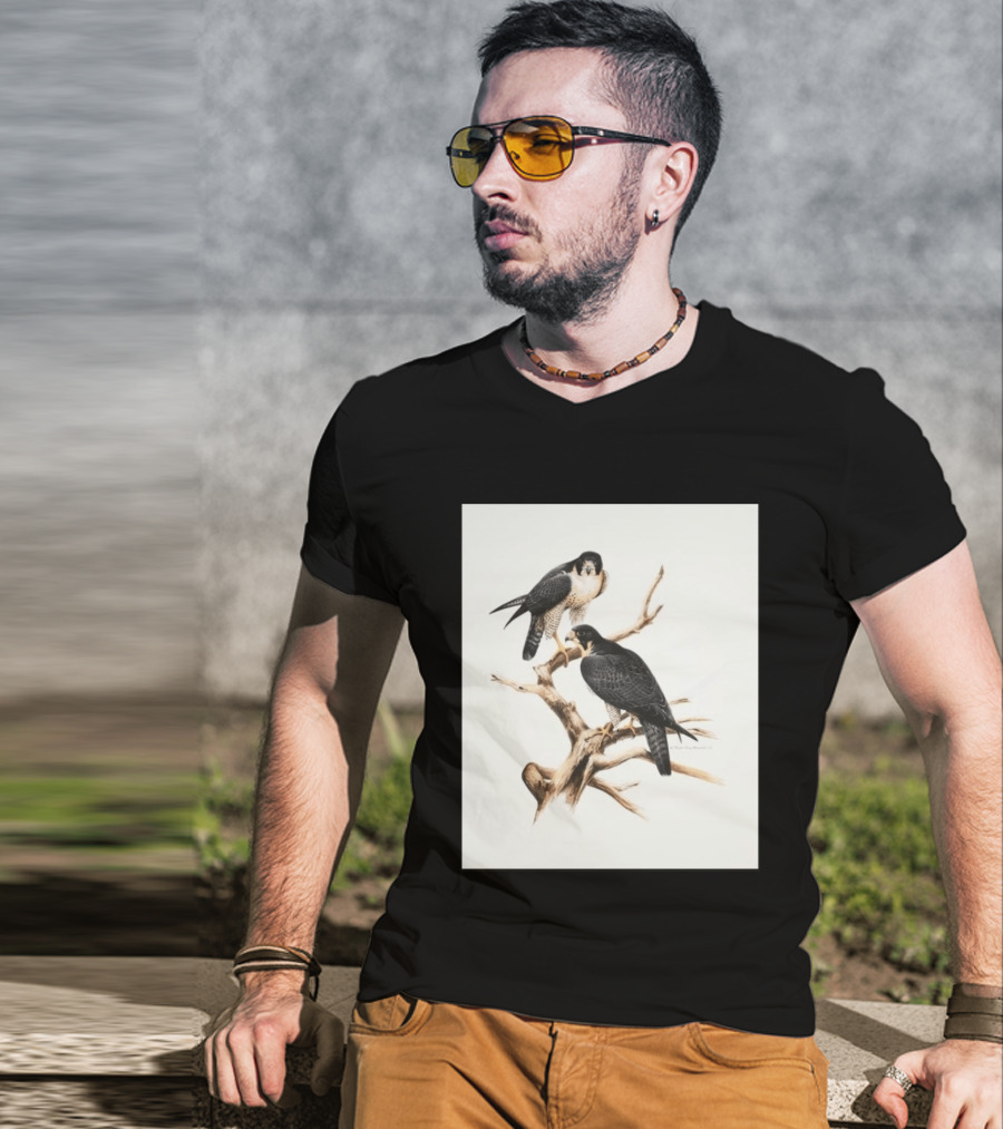 Roger Tory Peterson Peregrines 2026 Adult Ash Bird T-Shirt