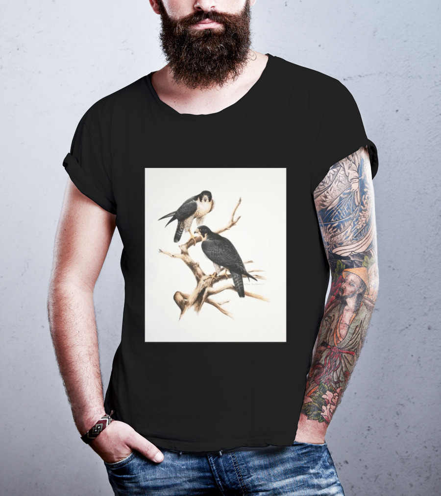 Roger Tory Peterson Peregrines 2026 Adult Ash Bird T-Shirt