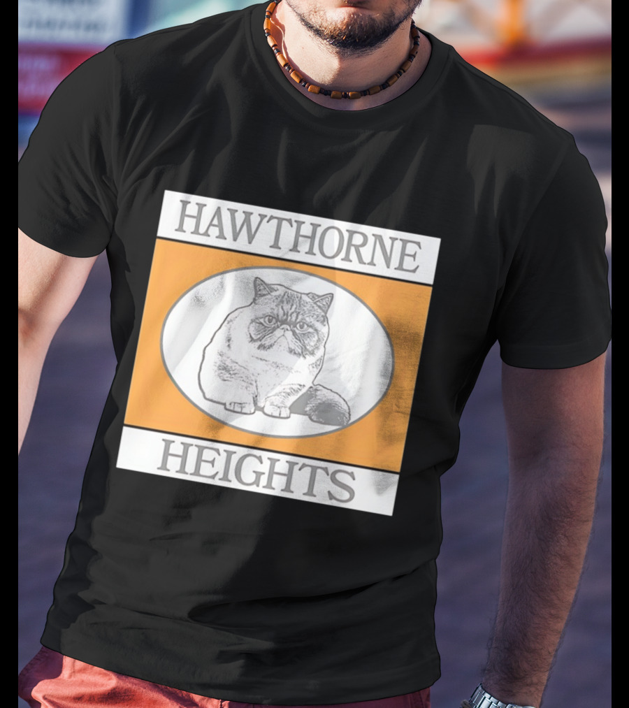 Hawthorne Heights Victorious Kitty Emo Band Feline T-Shirt